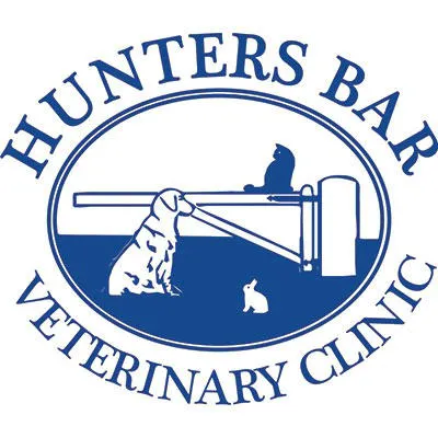 Dronfield Veterinary Clinic (Hunters Bar Veterinary Clinic) Picture 5