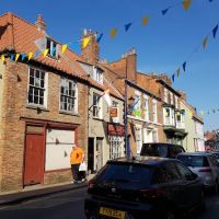 Old Town Pet Store Bridlington ico