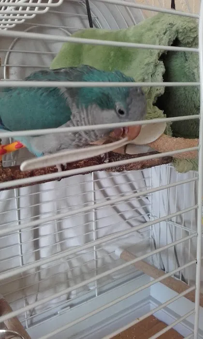 Old Town Pet Store Bridlington Picture 3