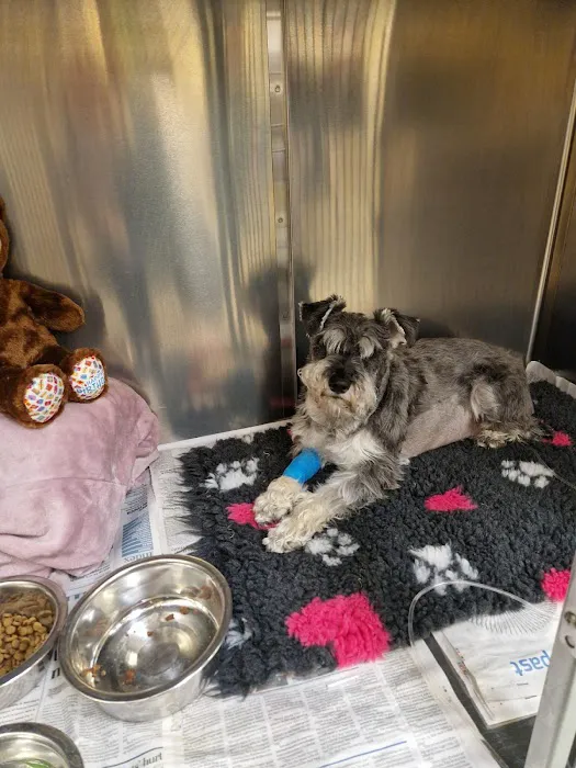 Parklands Veterinary Group, Dungannon Picture 4