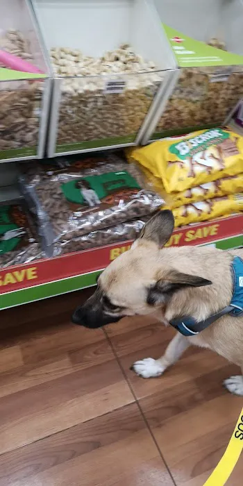 Pets at Home Bridlington Picture 6