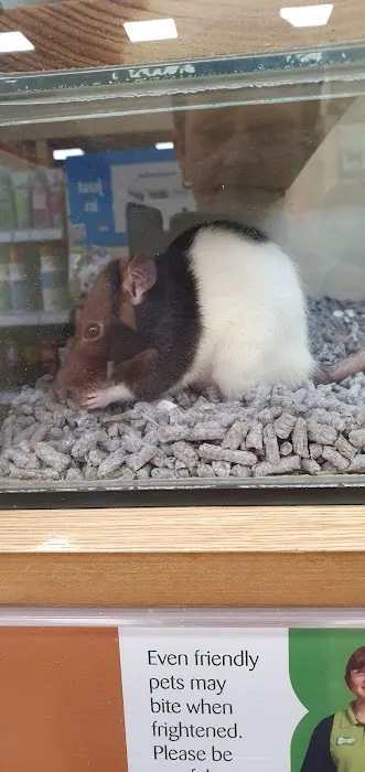 Pets at Home Bridlington Picture 8