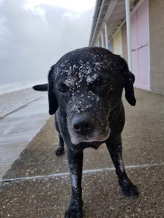 Pets at Home Bridlington Picture 9