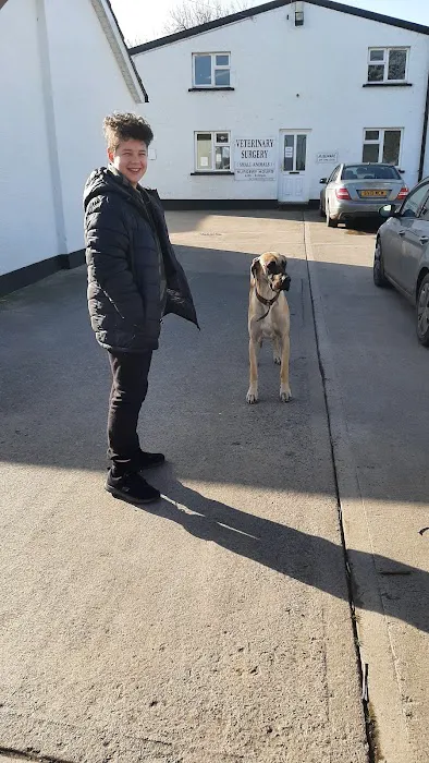 Collins Vets Picture 8