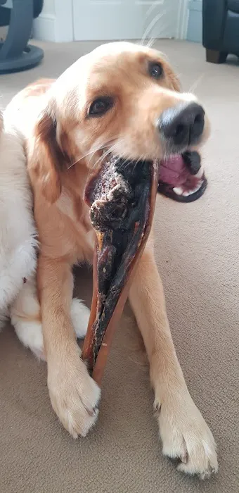 East Coast Raw Pet Foods Picture 1