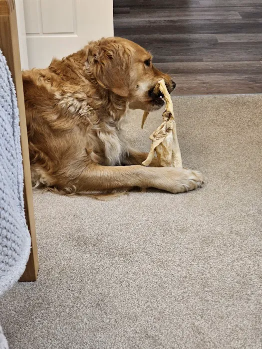 East Coast Raw Pet Foods Picture 6