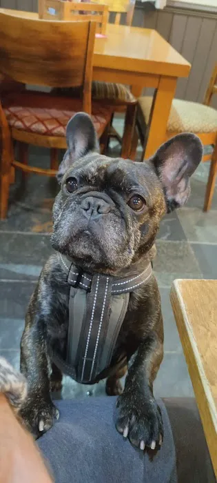 East Coast Raw Pet Foods Picture 4