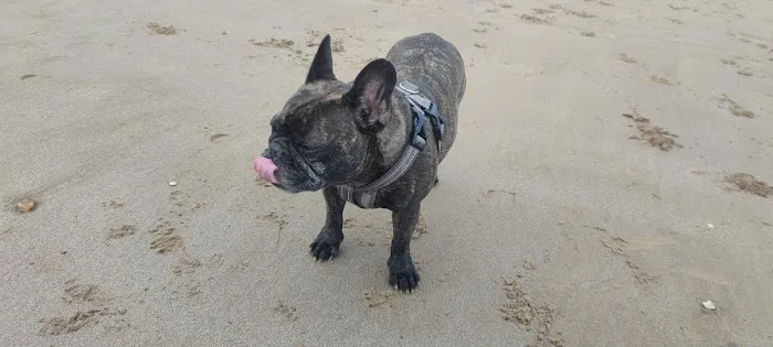 East Coast Raw Pet Foods Picture 5