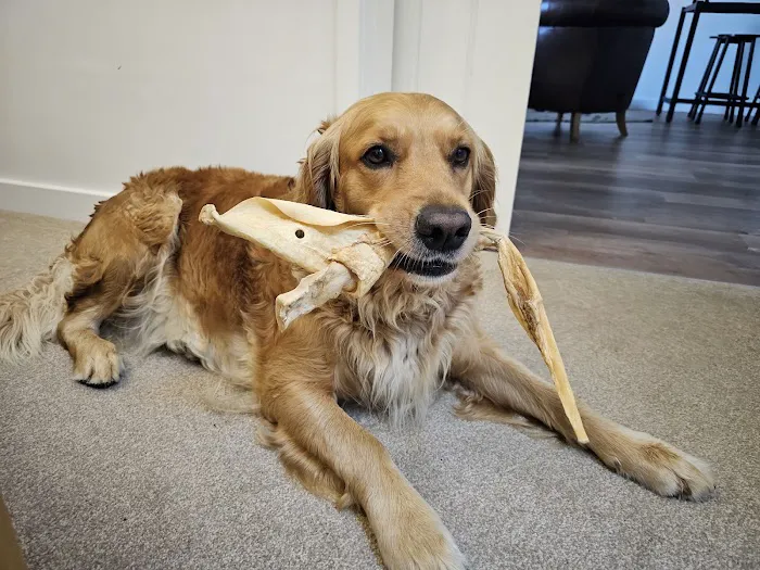 East Coast Raw Pet Foods Picture 7