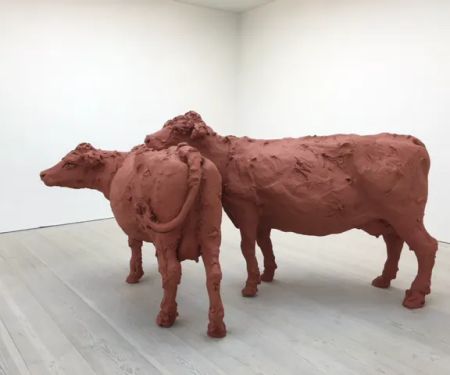 Quadruped Veterinary Practice
