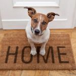 Vets 2 Your Pets - Worksop