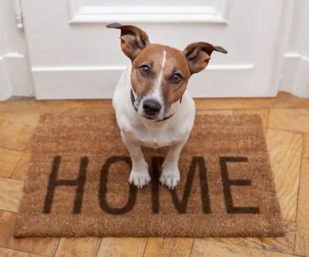 Vets 2 Your Pets - Worksop