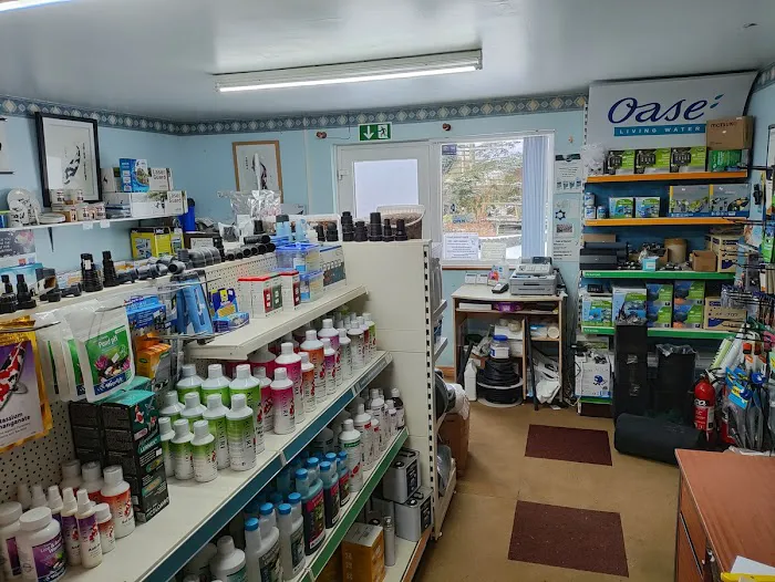 Causeway Koi Picture 3