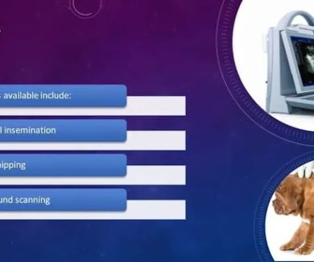 Worksop Pet Services
