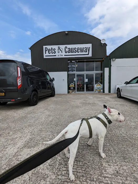 Pets At The Causeway Picture 1