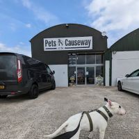 Pets At The Causeway ico