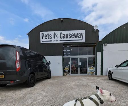 Pets At The Causeway