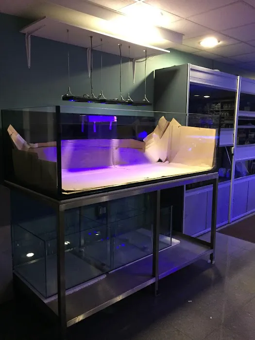 AMC Aquatics Picture 3