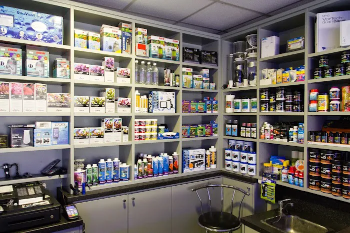 AMC Aquatics Picture 5