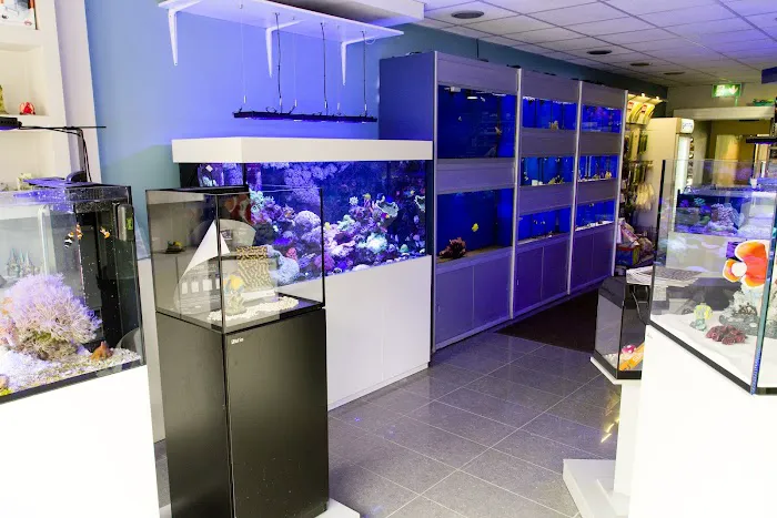 AMC Aquatics Picture 8