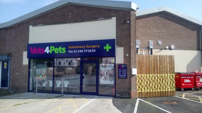 Vets4Pets - Clowne Picture 3