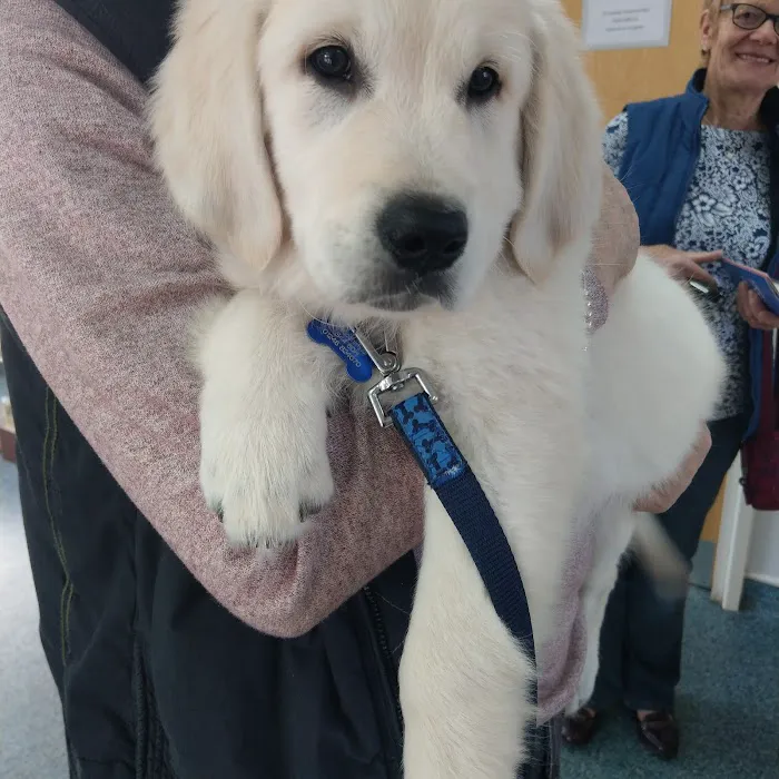 Carrick Veterinary Group - Barlborough Picture 6