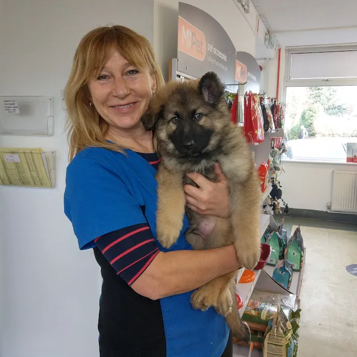 Carrick Veterinary Group - Barlborough Picture 9