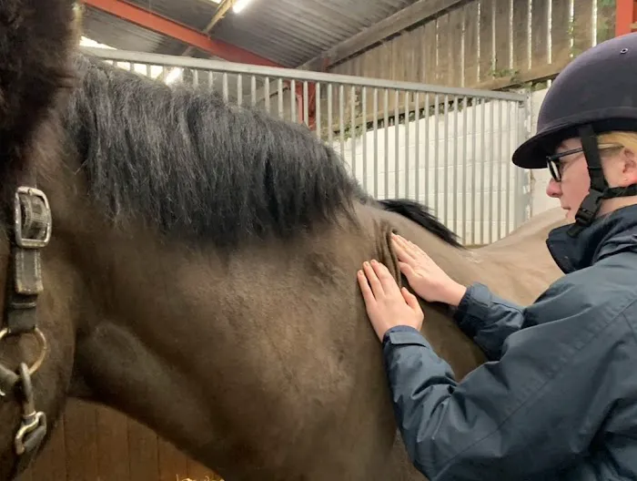 Danielle Hanna Veterinary Physiotherapy Picture 2