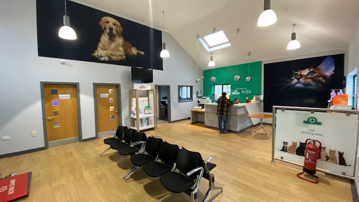 Northern Ireland Veterinary Specialists Picture 3