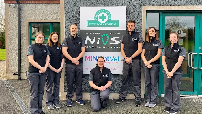 Northern Ireland Veterinary Specialists Picture 2