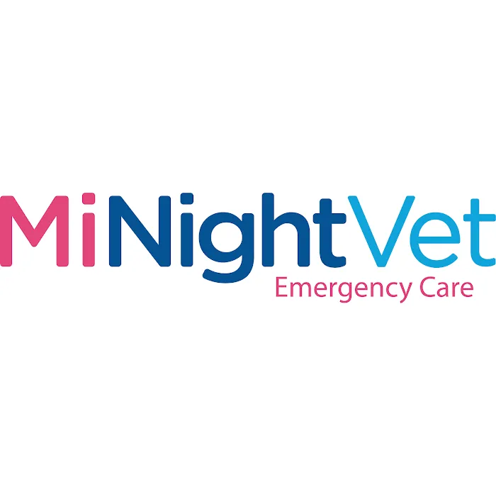MiNightVet Lisburn Picture 5