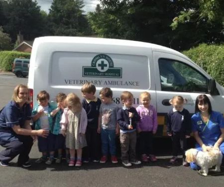 Cromlyn House Veterinary Hospital - Hillsborough