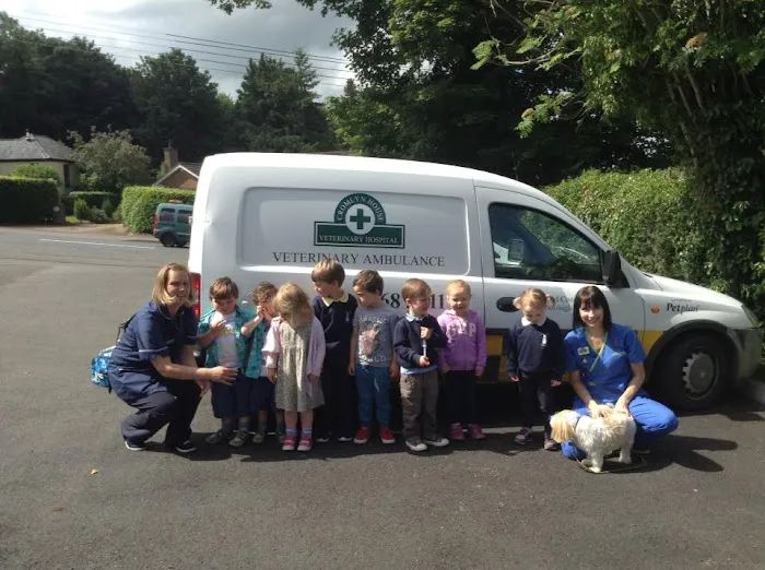 Cromlyn House Veterinary Hospital - Hillsborough Picture 3