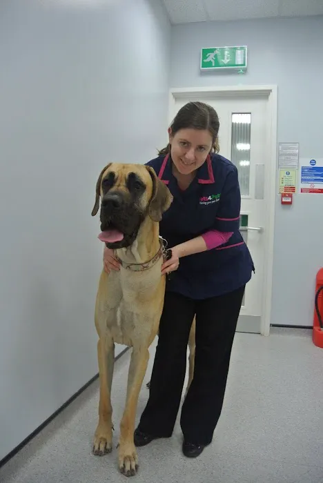 Vets4Pets - Lisburn Picture 8