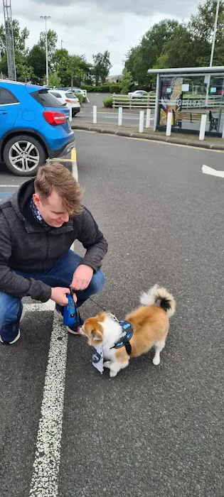 Vets4Pets - Lisburn Picture 6
