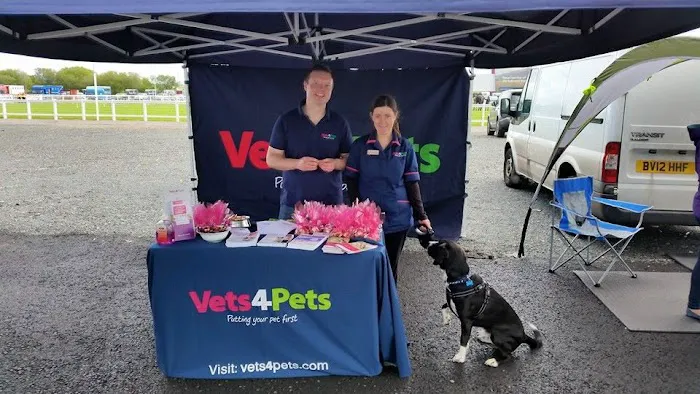 Vets4Pets - Lisburn Picture 9