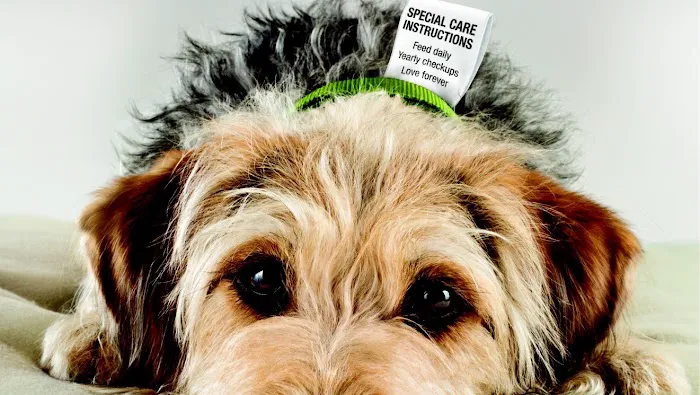 Advance Veterinary Care Picture 1