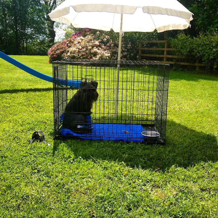 Advance Veterinary Care Picture 9