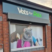 Vets for Pets - Lisburn Longstone ico
