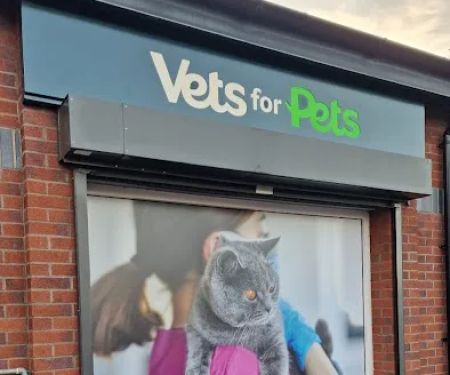 Vets for Pets - Lisburn Longstone