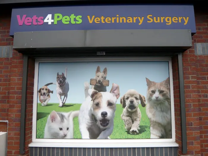 Vets for Pets - Lisburn Longstone Picture 5