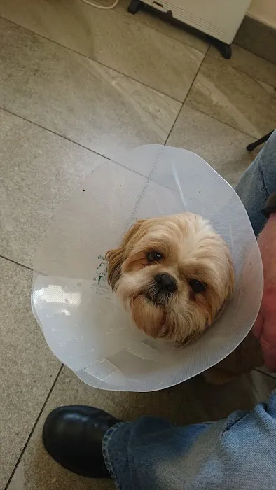 Lagan Valley Vets Picture 3