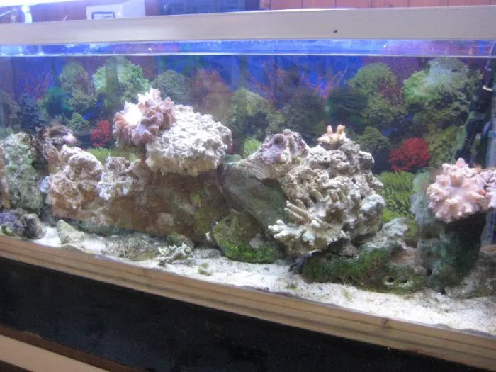 Fish & Pond Centre Ltd Picture 6