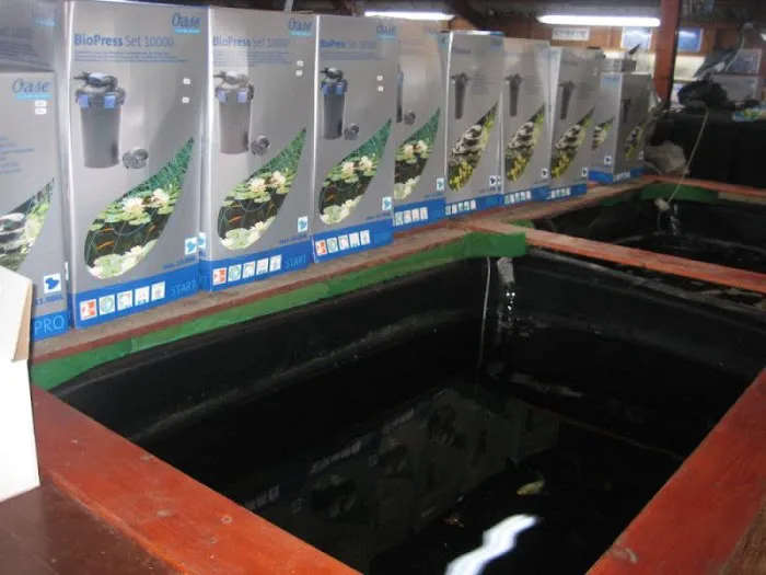 Fish & Pond Centre Ltd Picture 9