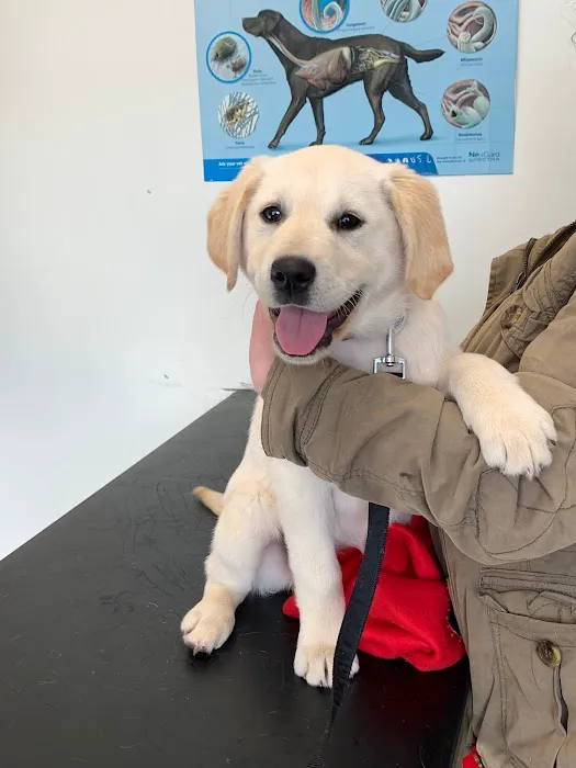 Barry's Vets Picture 1