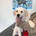 Barry's Vets
