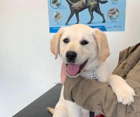 Barry's Vets