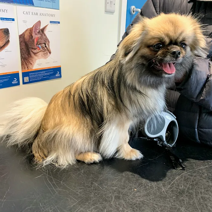 Barry's Vets Picture 6