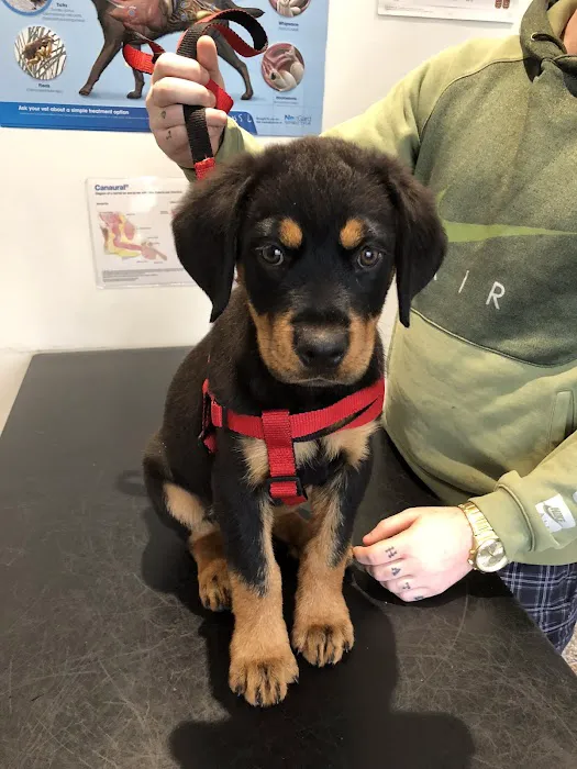 Barry's Vets Picture 8