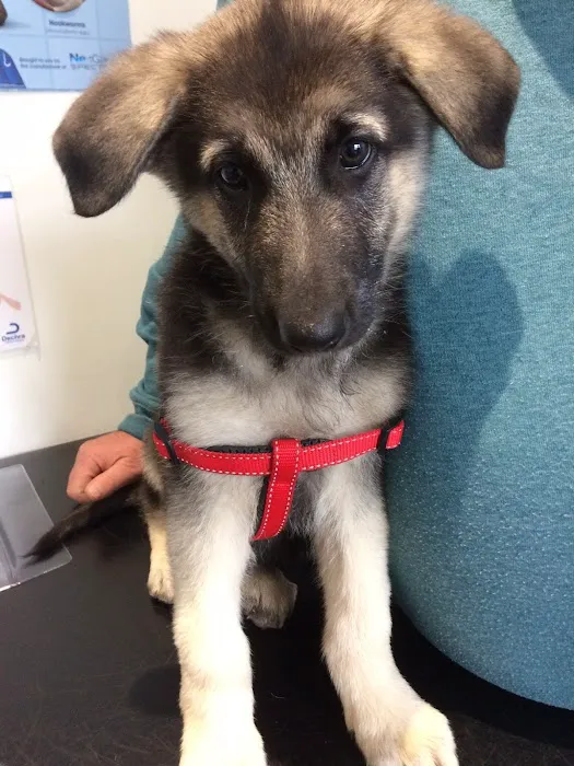 Barry's Vets Picture 10